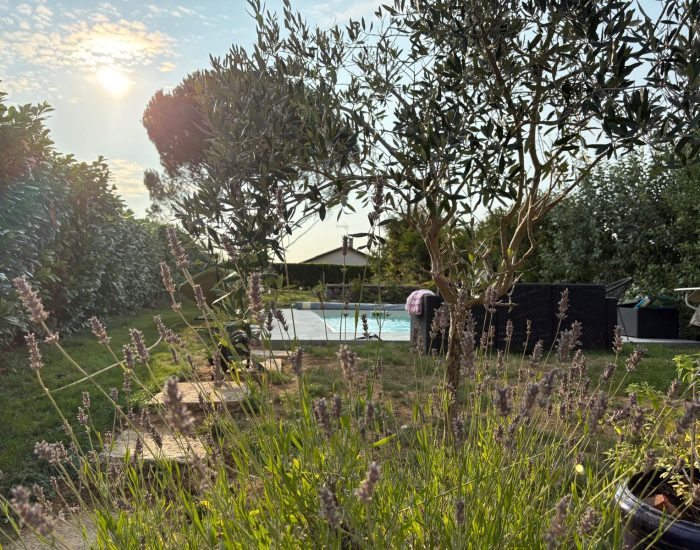 be22eba4-f0cd-466f-a7a5-8b1381470374